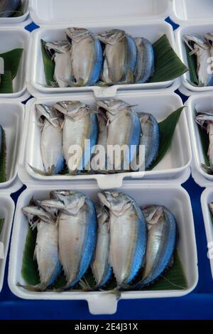 Frische Makrele in einer Schaumstoffkiste verkauft auf einem Frischmarkt in Thailand. Stockfoto