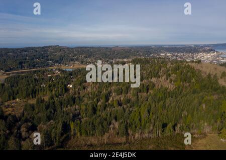 Luftbild des Waldes um Coos Bay, Oregon Stockfoto