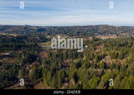 Luftbild des Waldes um Coos Bay, Oregon Stockfoto