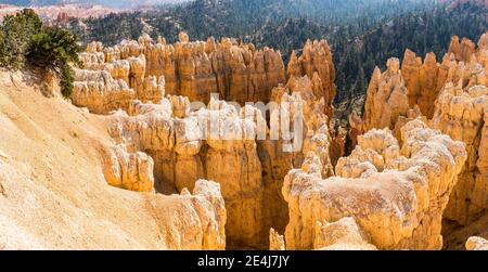 Blick auf Felsstrukturen namens Hoodoos im Bryce Canyon National Park, Utah, USA. Stockfoto