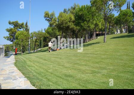 Der Mensch hält einen Wasserschlauch und bewässert den Garten. Arbeit am Haus und Gemüsegarten, Pflege des Territoriums. Hochwertige Fotos Stockfoto