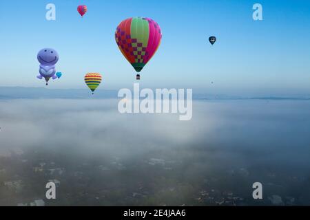 Heißluftballonfestival Canberra Stockfoto