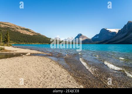 Bow Lake Seeufer im Sommer sonnigen Tag. Bow Glacier, Banff National Park, Kanadische Rockies, Alberta, Kanada. Stockfoto