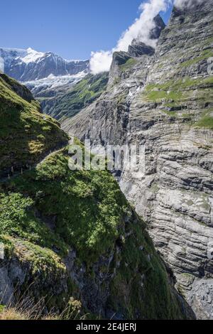 Alpenweg am Unteren Grindelwaldgletscher, bei Grindelwald, im Berner Oberland, Schweiz Stockfoto