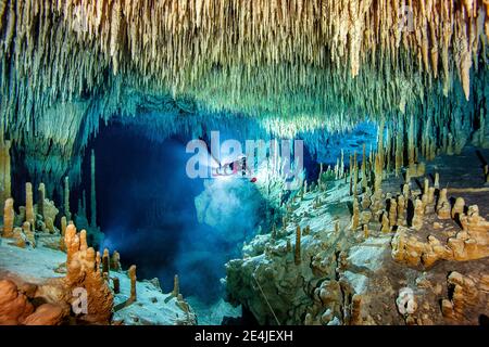 Männlicher Höhlentaucher, der inmitten von Stalaktit und Stalagmit im Meer, Cenote Uku Cusam, Quintana Roo, Mexiko, erkundet Stockfoto