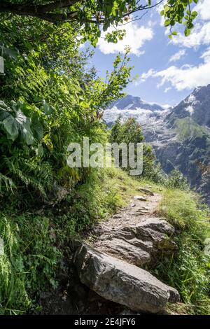 Alpenweg am Unteren Grindelwaldgletscher, bei Grindelwald, im Berner Oberland, Schweiz Stockfoto