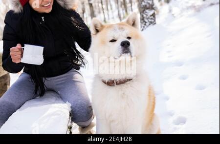 Lächelnde Frau hält Kaffeetasse, während sie auf der Bank sitzt akita Hund im Schnee Stockfoto