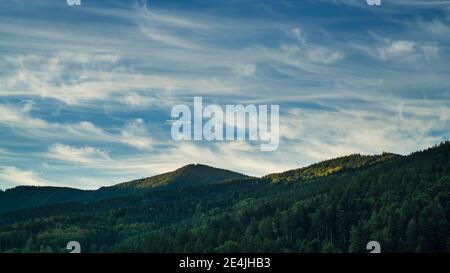 Deutschland, Schwarzwald Schwarzwald Blick über weite grüne Waldberge und mystische Atmosphäre am frühen Morgen bei Sonnenaufgang Stockfoto