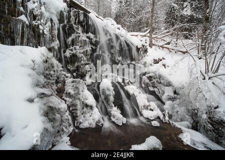 Wasserfall im Winter im Schnee, in der Nähe von fahl im Schwarzwald in deutschland. (Fahler Wasserfall) Stockfoto