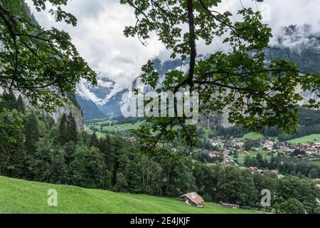 Blick auf das Lauterbrunnental durch Bäume auf dem Weg nach Wengen im Berner Oberland, Schweiz Stockfoto