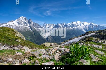 Wanderer auf Wanderweg, Grand Balcon Sud, Gletscher, Mer de Glace, Aiguille Verte und Mont Blanc Gipfel, Grandes Jorasses, Mont Blanc Massiv, Chamonix-M Stockfoto