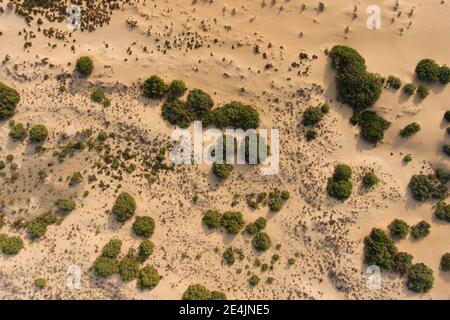 Sanddünen Dune di Piscinas, Costa Verde, Sardinien, Italien Stockfoto