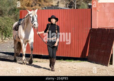 Frau, die mit Pferd im Paddock läuft Stockfoto