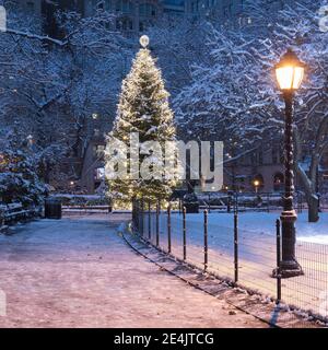USA, New York, New York City, beleuchtete Weihnachtsbaum im Madison Square Park bei Nacht Stockfoto