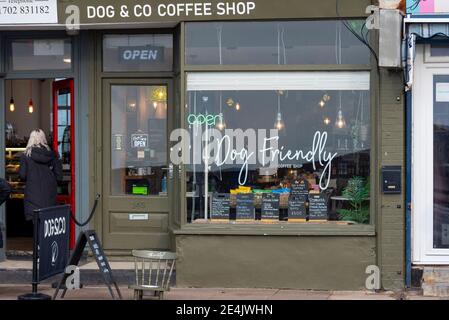 Hundefreundliches Café, Café in Southend on Sea, Essex, Großbritannien. Fensteranzeige. Hund & Co Stockfoto