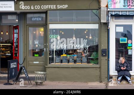 Hundefreundliches Café, Café in Southend on Sea, Essex, Großbritannien. Fensteranzeige. Hund & Co Stockfoto