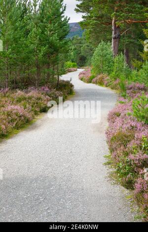 Schotterweg in Caringorms N.P., Schottland, Großbritannien Stockfoto