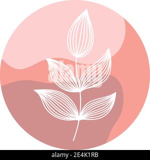 Highlight Cover abstrakt floral Pflanze botanischen Vektor Illustration Stock Vektor
