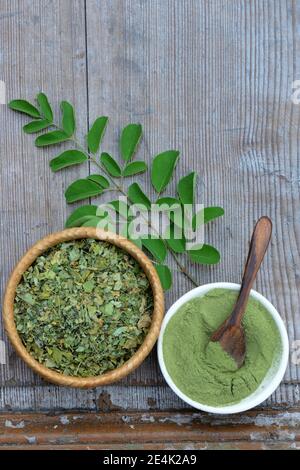 Moringa, Moringa Pulver in Schüssel mit Holzlöffel, getrocknete und frische Moringa Blätter, Moringa Pulver, Moringa oleifera Stockfoto