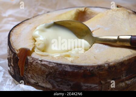 Vacherin Mont d'Or, Schweizer Weichkäse, Valle de Joux, Waadtländer Jura, Schweiz Stockfoto