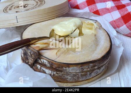 Vacherin Mont d'Or, Schweizer Weichkäse, Valle de Joux, Waadtländer Jura, Schweiz Stockfoto