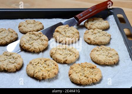 Haferflocken Kekse auf Backblech Stockfoto