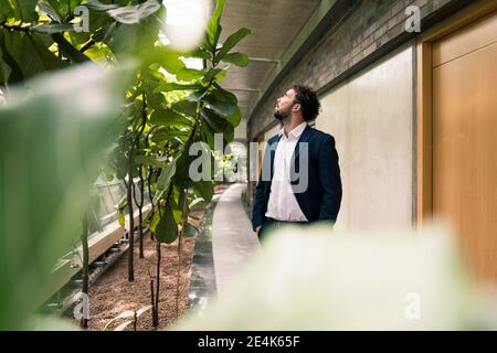 Männliche Unternehmer mit Händen in Taschen Blick auf Pflanzen in Flur im Büro Stockfoto