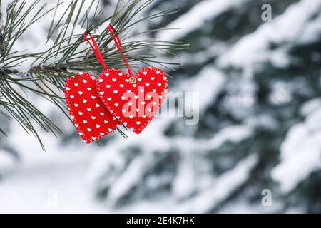 rotes Herz auf Winter Baum Stockfoto