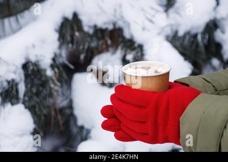 Frau Hände halten Einweg-Tasse Kakao Stockfoto