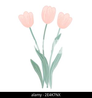 Doodle Vektor rosa Tulpe Blumen isoliert auf einem weißen Hintergrund. Kreative Illustration für Ihr Design Stock Vektor