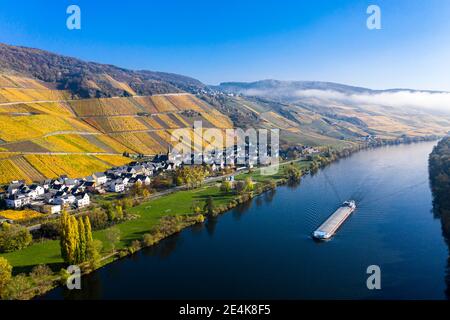 Deutschland, Rheinland-Pfalz, Bernkastel-Kues, Hubschrauberansicht eines Binnenschiffs entlang der Mittelmosel mit ländlicher Stadt im Hintergrund Stockfoto