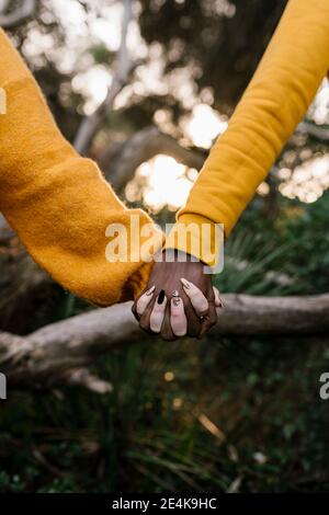 Nahaufnahme eines Paares, das die Hände am Wald hält Stockfoto