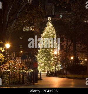 USA, New York, New York City, Weihnachtsbaum beleuchtet in der Nacht im Madison Square Park Stockfoto
