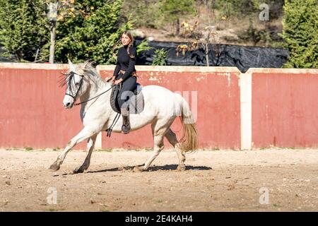 Frau Reiten im Paddock Stockfoto