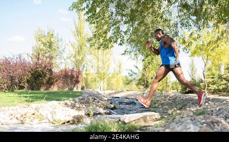 Männlicher Athlet läuft über Bäche im Park an sonnigen Tag Stockfoto