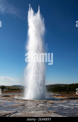 Blick auf Strokkur Geyser in Geysir, Haukadalur, Island Stockfoto