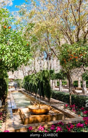 Spanien, Mallorca, Palma de Mallorca, Teich und Brunnen in Jardines kurz Del Rei Park Stockfoto