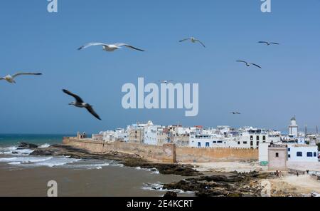 Die Medina von Essaouira von der Scala des Hafens aus gesehen. Marokko Stockfoto