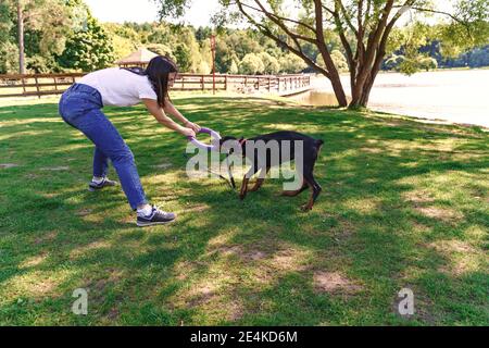 Fröhliche Brünette Frau verbringt Zeit mit Soja Hund Dobermann am See. Welpen spielen mit einem Spielzeugring. Wanderhunde in der Natur. Stockfoto