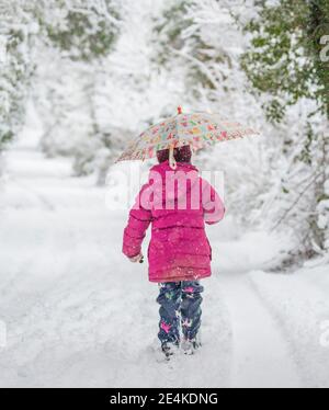 Kidderminster, Großbritannien. Januar 2021. UK Wetter: Am frühen Morgen Schneefall überrascht die Bewohner in Worcestershire mit schweren Schnee verursacht eine Winter Whiteout Decke zwischen den Stunden von 8.00 und 10.00 Uhr. Die kleine Phoebe ist gut eingewickelt und geht mit ihrer Mutter durch und durch in das Winterwunderland. Kredit: Lee Hudson/Alamy Live Nachrichten Stockfoto