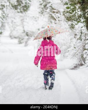 Kidderminster, Großbritannien. 24. Januar 2021. Wetter im Vereinigten Königreich: Der Schneefall am frühen Morgen überrascht die Bewohner von Worcestershire mit starkem Schnee, der zwischen 8am und 10am Uhr zu einer Winterdecke mit Weißtönen führt. Dieses kleine Mädchen, Phoebe, ist gut eingepackt und läuft mit ihrer Mutter durch das Winterwunderland. Kredit: Lee Hudson/Alamy Live News Stockfoto