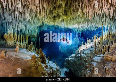 Männlicher Taucher, der unter Wasser erkundet, Cenote Uku Cusam, Quintana Roo, Mexiko Stockfoto