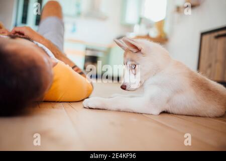 Mann liegt bei sibirischem Husky auf dem Boden zu Hause Stockfoto