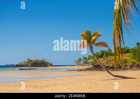 Schönen tropischen Sandstrand, Seelandschaft mit Palmen Stockfoto