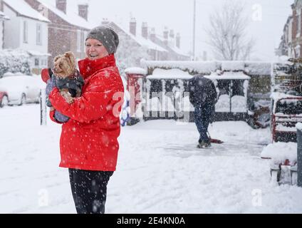 Kidderminster, Großbritannien. Januar 2021. Wetter in Großbritannien: Plötzlicher, starker Schneefall überrascht die Bewohner der Midlands heute Morgen. Auf einer Reise, um die Sonntagszeitung zu holen, wartet Bailey geduldig in den Armen seines Besitzers vor dem örtlichen Eckgeschäft, während die Besitzer einen sicheren Weg räumen. Kredit: Lee Hudson/Alamy Live Nachrichten Stockfoto