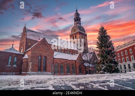 Ein niedriger Winkel Aufnahme des schönen Sonnenuntergangs über einem dekorierten Weihnachtsbaum auf dem Domplatz in Riga Stockfoto