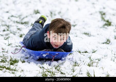 Chippenham, Wiltshire, Großbritannien. Januar 2021. Während die Chippenham-Bewohner zu ihrem ersten Schnee des Jahres aufwachen, wird ein Junge, der den Schnee genießt, bevor er auftaut, in einem lokalen Park in Chippenham abgebildet, während er auf einem Schlitten einen Hügel hinunterfährt. Quelle: Lynchpics/Alamy Live News Stockfoto