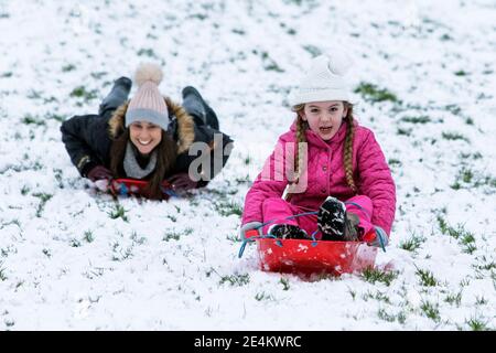 Chippenham, Wiltshire, Großbritannien. Januar 2021. Während Chippenham-Bewohner zu ihrem ersten Schnee des Jahres aufwachen, werden eine Frau und ein Kind in einem lokalen Park in Chippenham abgebildet, während sie auf Schlitten einen Hügel hinuntergleiten. Quelle: Lynchpics/Alamy Live News Stockfoto