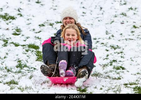 Chippenham, Wiltshire, Großbritannien. Januar 2021. Während Chippenham-Bewohner zu ihrem ersten Schnee des Jahres aufwachen, werden eine Frau und ein Kind in einem lokalen Park in Chippenham abgebildet, während sie auf einem Schlitten einen Hügel hinuntergleiten. Quelle: Lynchpics/Alamy Live News Stockfoto