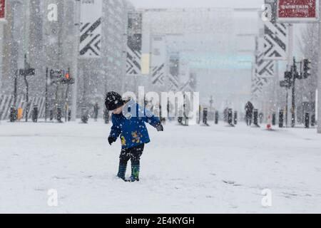 UK Wetter, Wembley Park, UK. 24. Januar 2021.EIN kleiner Junge fasziniert vom Schnee auf dem Olympic Way als Sonntagmorgen London bringt es den ersten Schneefall des Jahres. Amanda Rose/Alamy Live News Stockfoto